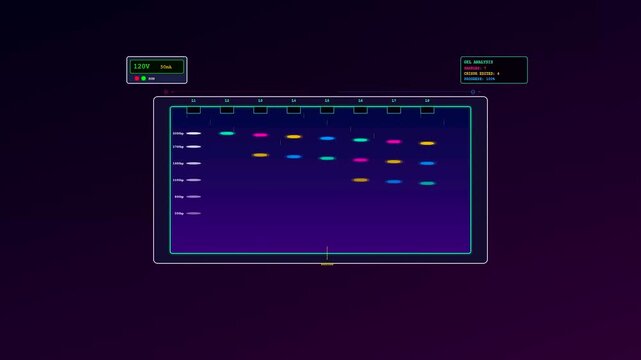 A digital representation of crispr gene editing processes depicted as moving electrophoresis gel bands separated by size across a glowing dark purple computer interface screen