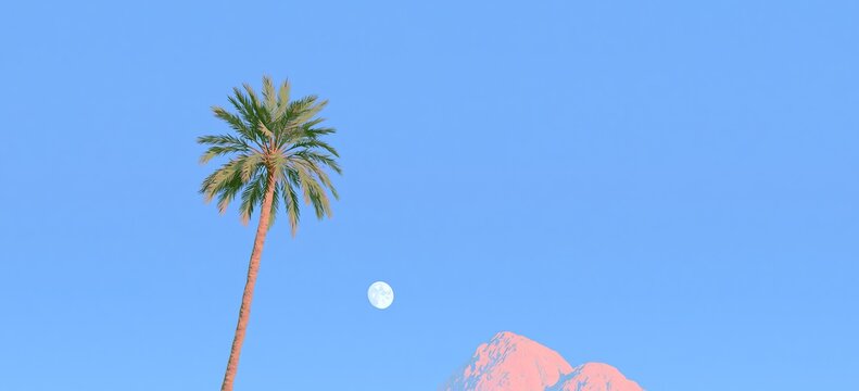 the soothing palm tree and daytime full moon ambient background with mountain peaks poking up