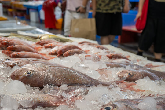 Fresh red seabream fish on ice at jagalchi market in busan.