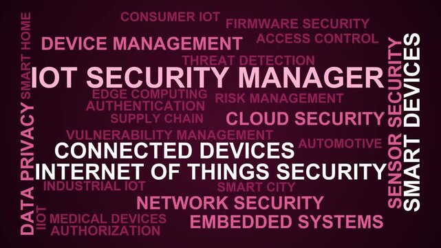 Iot Security Manager Word Cloud