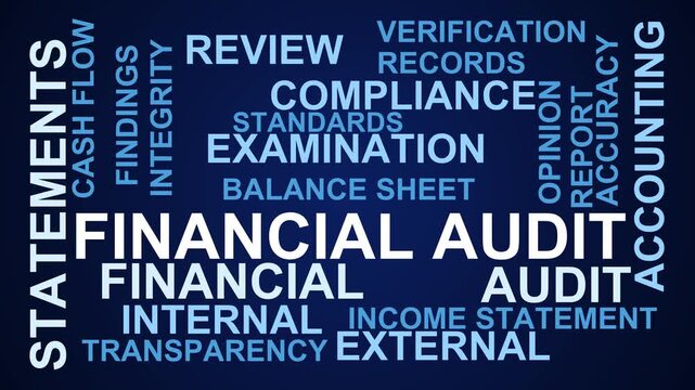 Financial Audit Word Cloud
