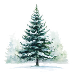 Obraz premium watercolor vector of Towering Spruce Tree In A Winter Forest drawing, isolated on a white background.