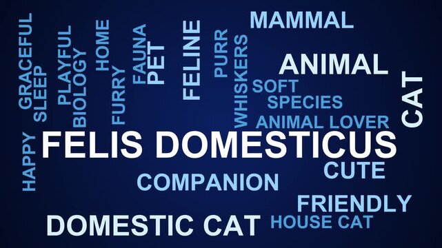 Felis Domesticus Word Cloud