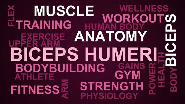 Biceps Humeri Word Cloud