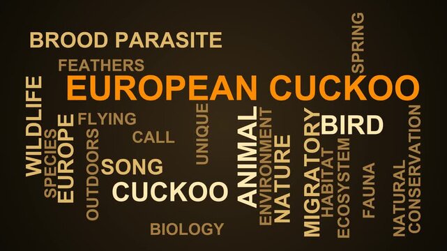 European Cuckoo Word Cloud