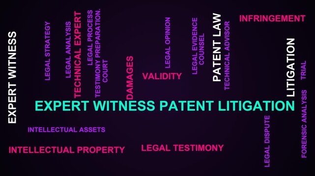 Expert Witness Patent Litigation Word Cloud