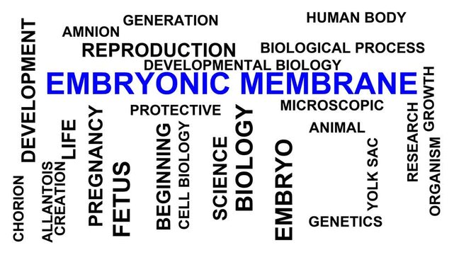 Embryonic Membrane Word Cloud