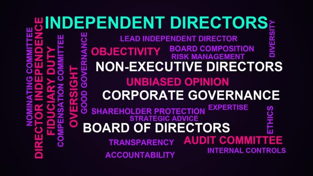 Independent Directors Word Cloud