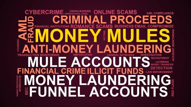 Money Mules Word Cloud