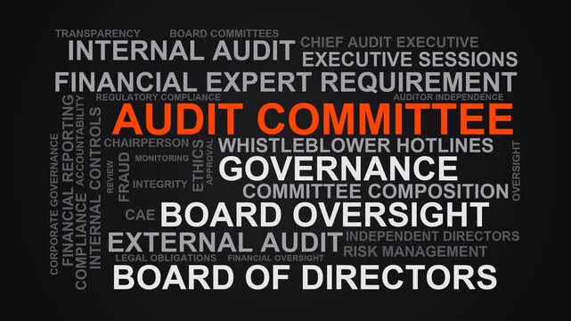 Audit Committee Word Cloud