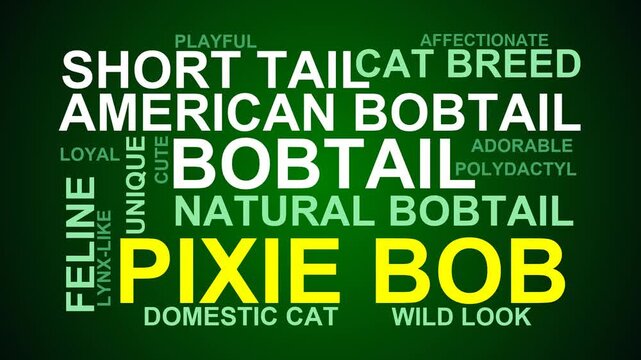 Pixie Bob Word Cloud