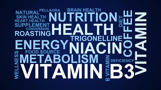 Vitamin B3 Word Cloud