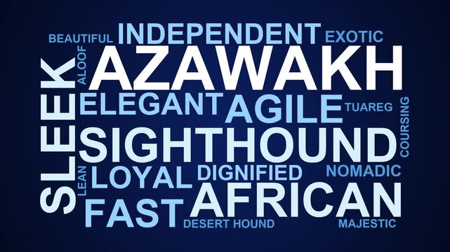 Azawakh Word Cloud