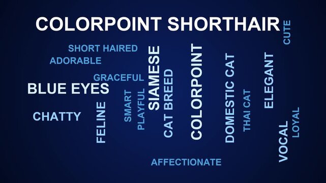 Colorpoint Shorthair Word Cloud