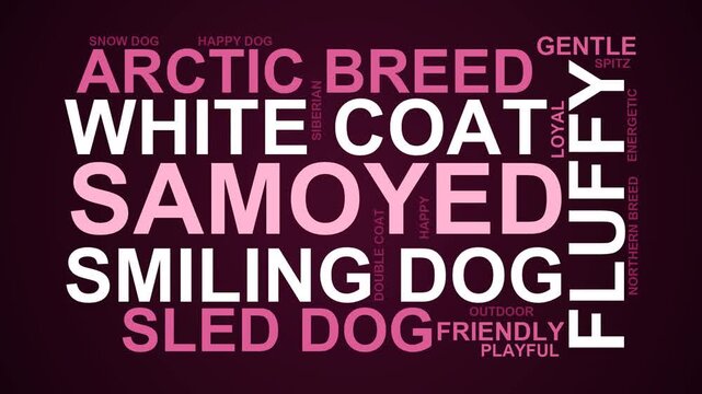 Samoyed Word Cloud