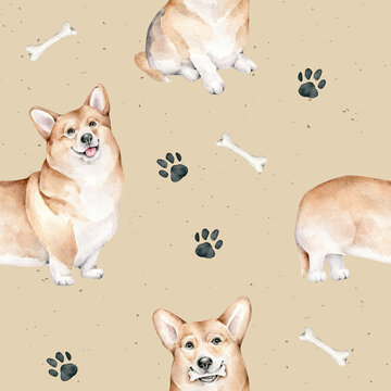 watercolor corgi dog.seamless pattern with corgi dog.domestic animal