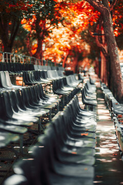 Rows of vacant black chairs arranged on tiered bleachers beneath vivid reddish autumn foliage, creating an atmospheric open-air venue ready for an audience or ceremony