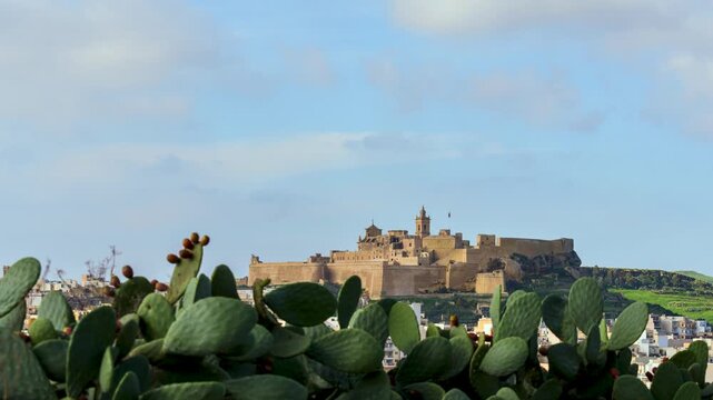 Timelapse of the historic Citadel in Victoria, Gozo, Malta, framed by prickly pear cactus in the foreground during golden hour.