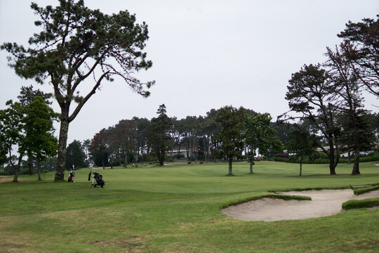A wide angle view of a lush green golf course featuring a sand trap bunker in the foreground, surrounding green grass, and tall pine trees under an overcast sky.