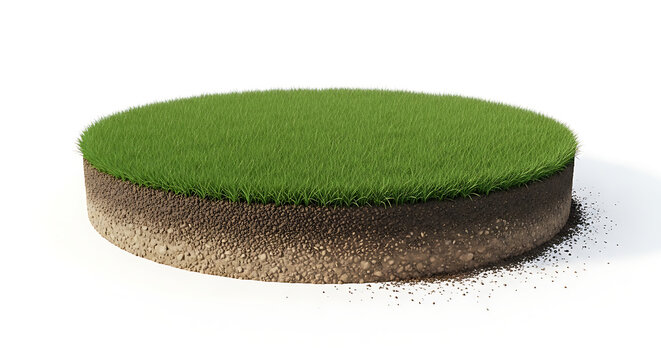 Cross section of grass land soil layer isolated on white background with environment agriculture isolated