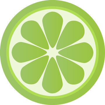 Fresh cut lime slice citrus fruit food ingredient flat vector illustration.