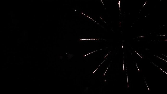 Firework explosions with glowing traces and stars in sky at nighttime holiday. Brilliant display of firework flashes illuminate black sky. Firework performance for spectators at evening party