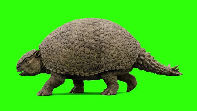 A 3D render of the giant extinct armored mammal Glyptodon walking in side profile, isolated on a solid green chroma key background. Perfect for keyable visual effects overlays, paleontology documentar