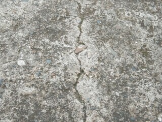 Fototapeta premium stone wall texture