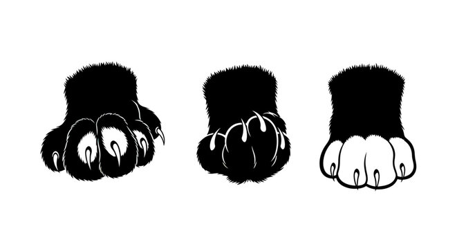 Black and white animal paws illustration.