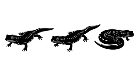 Fototapeta premium Black silhouette of lizard skeletons walking.