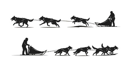 Fototapeta premium Dog Sled Team in Motion Silhouette.