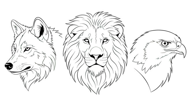 Detailed drawings of three animal heads.