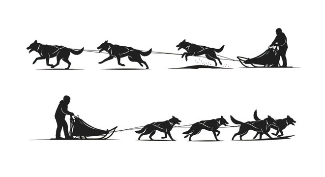 Dog Sled Team in Motion Silhouette.