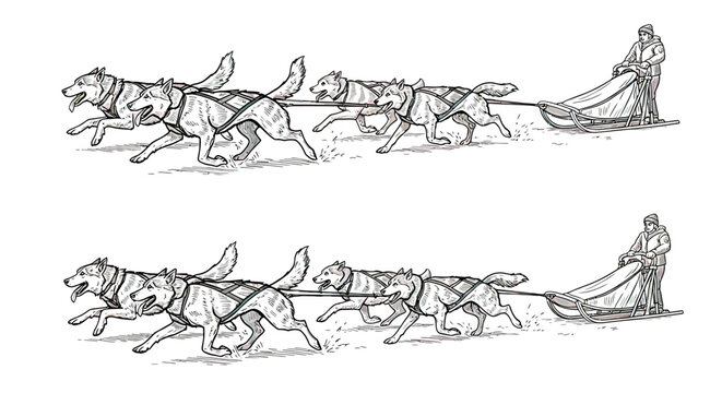 Dogs pull sled with a person.