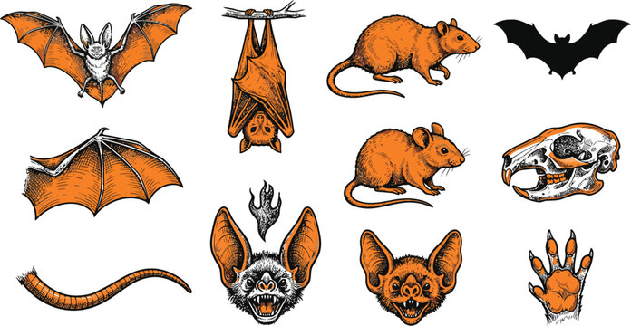 Set of 11 hand-drawn icons related to Halloween animals, bats, rats - collection of bat, rat, mouse, bat wing, bat face, rat skull, bat silhouette, rat tail, rat paw vector elements