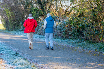 Fototapeta premium two men in winter sportswear jogging on frosty morning, outdoor fitness, enjoying run in park, running motivation, trail along forest, enjoying outdoor exercise, active healthy lifestyle, active aging