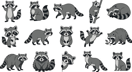 Raccoon vector cartoon character set featuring cute grey procyonids waving sleeping climbing walking and peeking isolated on white background © ALOMGIR