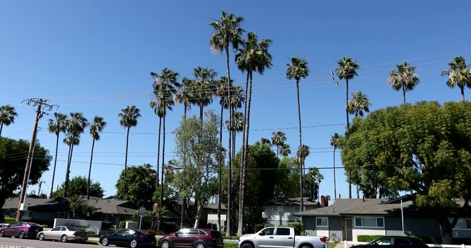 Trees frame housing in a neighborhood of Placentia, California, USA.