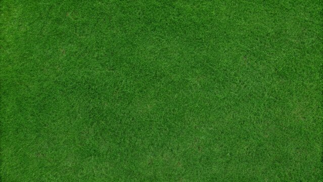 Seamless green grass texture with aerial top view of natural lawn, lush turf background for football field, sports pitch, garden landscape and outdoor design