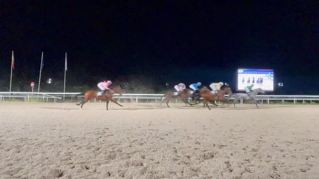 Caballos galopando de noche en carrera nocturna de Turf hip&oacute;dromo horse race con jockey y pura sangre en videopantalla y pista de arena racecourse dirt