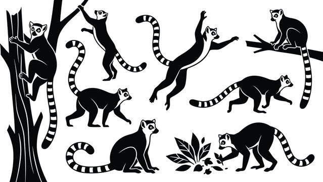Ring tailed lemur monkey silhouette collection in different active poses climbing jumping sitting on tree branch isolated vector design set on white background.