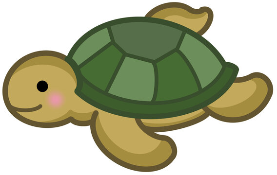 turtle vector illustration
