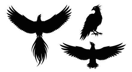 Fototapeta premium Silhouette of birds in flight formation.