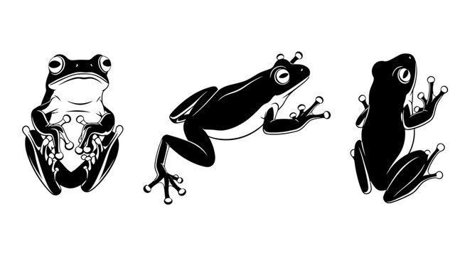 Three black and white frogs sitting.
