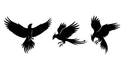 Fototapeta premium Three black birds in flight formation 1.