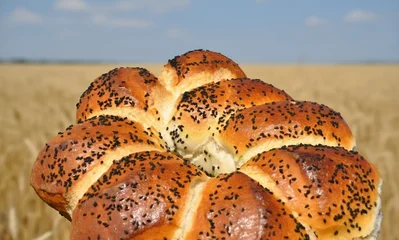 poppy seed bun © rachid amrous