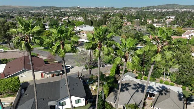 Palm trees frame an aerial view of a neighborhood in Yorba Linda, California, USA.