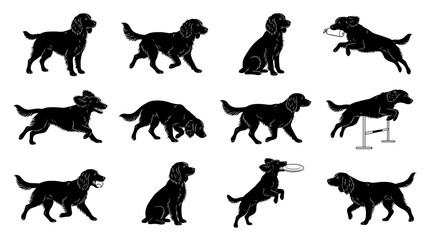 Obraz premium Sprocker vector dog spaniel silhouette collection set. Active pet animal hunting gundog poses including running sitting and jumping isolated graphic illustration.