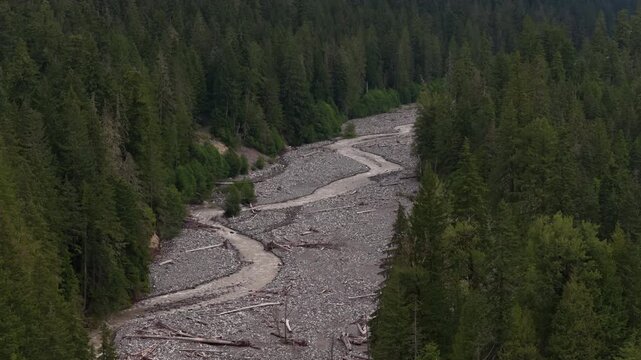 Aerial of gravel Nisqually river winding through Gifford Pinchot national forest near Ashford Washington with low water levels exposing sediment and driftwood in the streambed