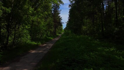 Fototapeta premium A low-altitude flight over a straight road cutting through a dense pine forest on a sunny summer day.